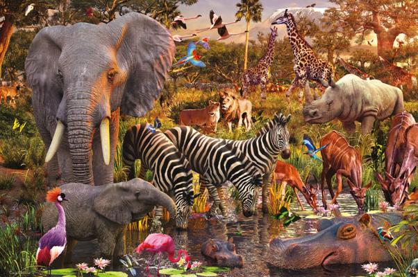 أرض الطاووس | Puzzle | Ravensburger أرض الطاووس | Puzzle | Ravensburger