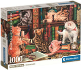 HQC CURIOUS WHISKERS 2026 COMPACT