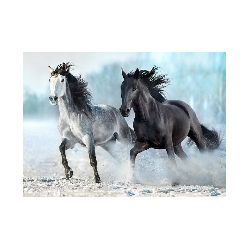 خيل | Puzzle | BlueFocus خيل | Puzzle | BlueFocus