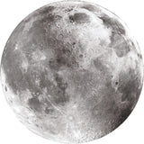 Moon | NASA 500pc Round Puzzle
