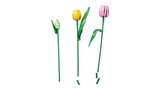 LEGO Botanicals Tulip Bouquet 11501