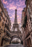 HQC PARIS AWAKENS 2026 COMPACT