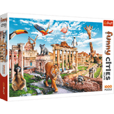 Funny Cities - Wild Rome