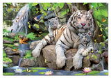 WHITE TIGERS OF BENGAL