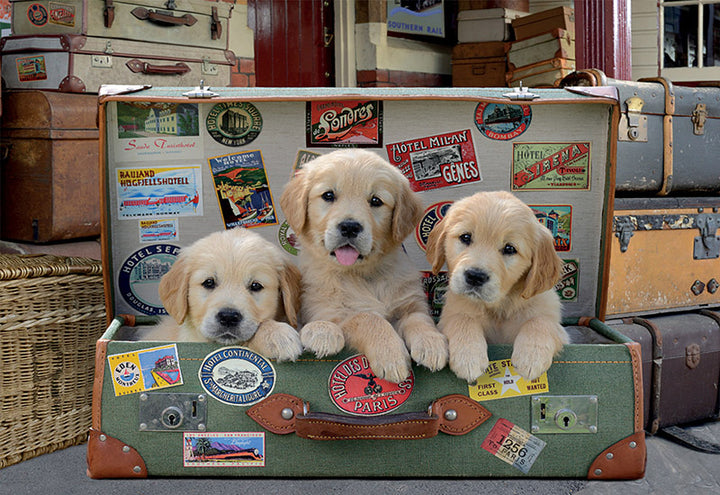 PUPPIES IN THE LUGGAGE