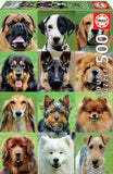 DOGS COLLAGE