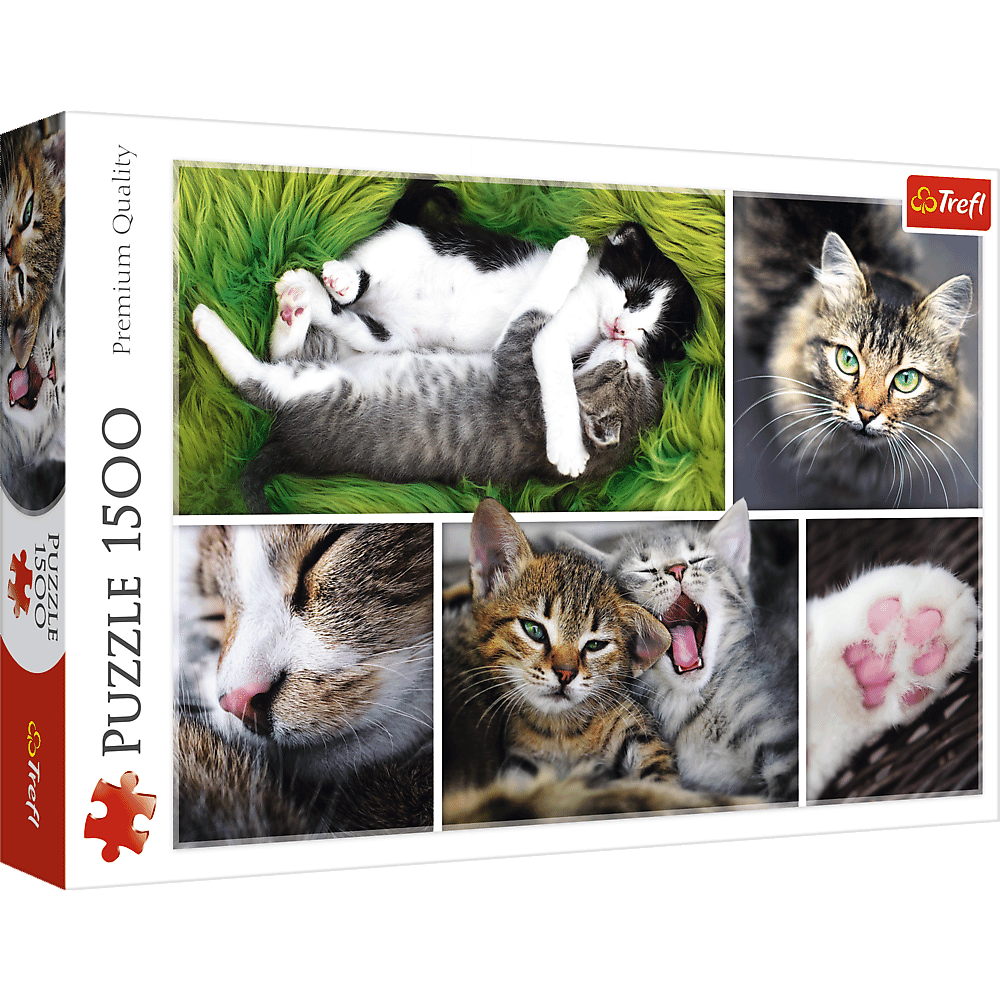 مجرد أشياء للقطط - مجمعة | Puzzle | trefl مجرد أشياء للقطط - مجمعة | Puzzle | trefl