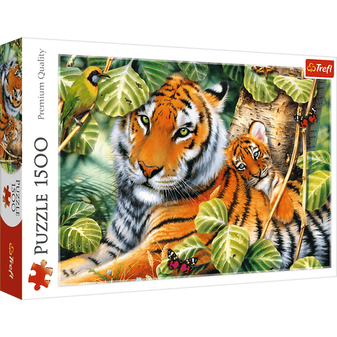 Two tigers