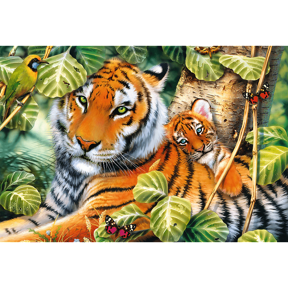 نمرين | Puzzle | trefl نمرين | Puzzle | trefl