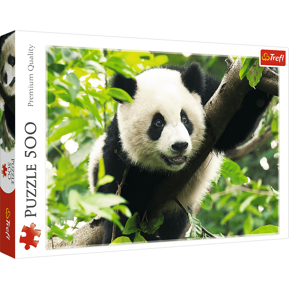 Giant Panda