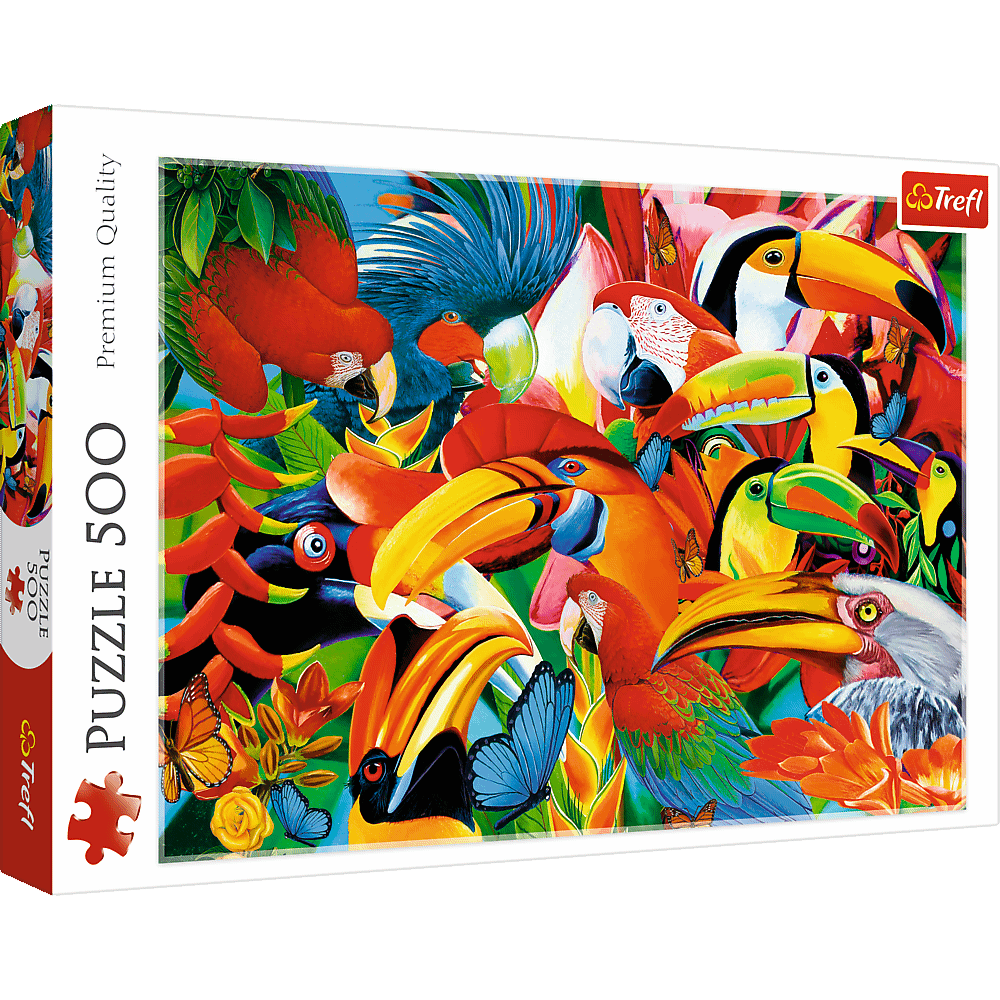 Colourful birds