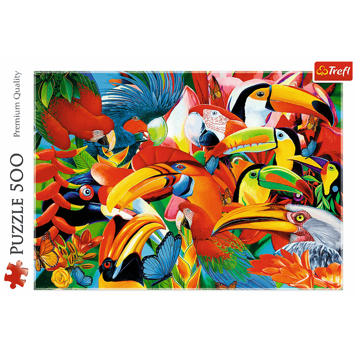 Colourful birds