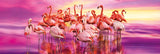 Flamingo Dance - Puzzlers Jordan