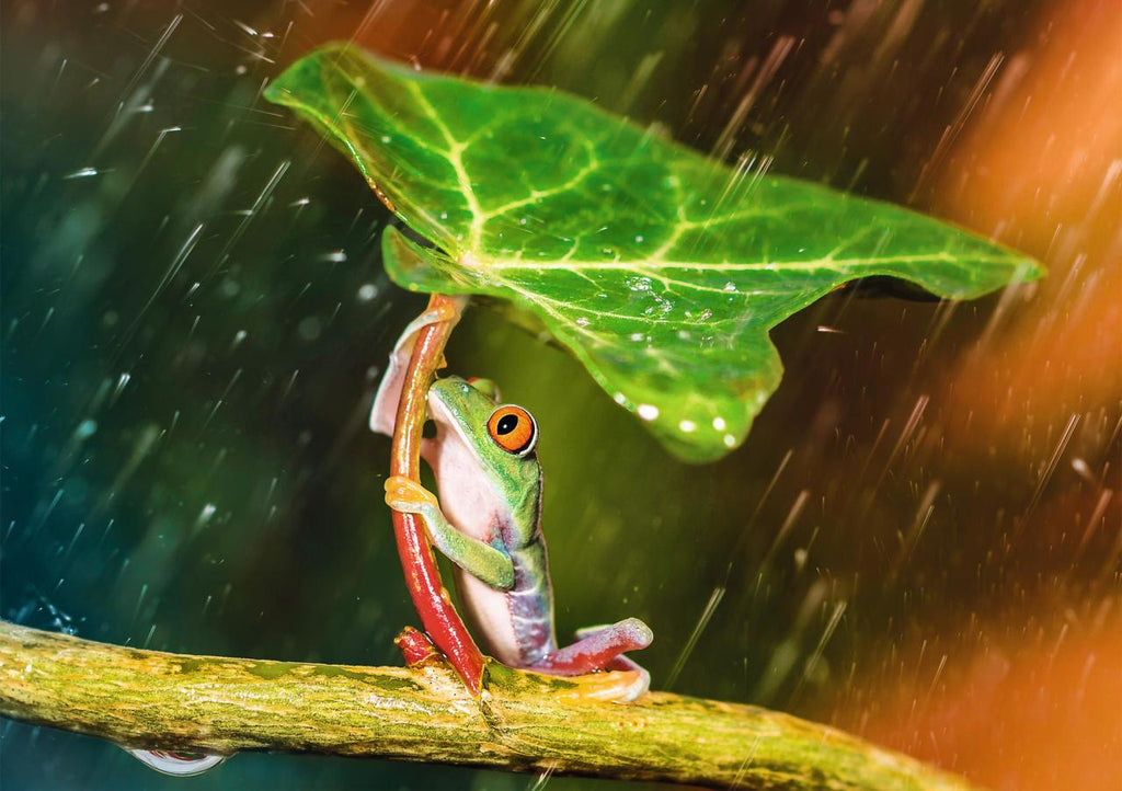 المظلة الخضراء | Puzzle | trefl المظلة الخضراء | Puzzle | trefl